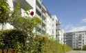 Courtyard with planting in the foreground